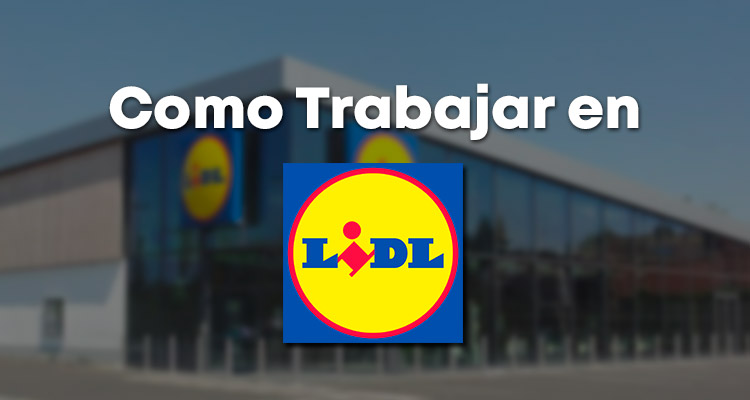 Lidl: Ofertas de Empleo para Todos los Niveles - ¡Inscríbete Ahora!