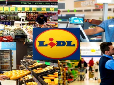 Lidl Amplía su Equipo: Vacantes Disponibles y Cómo Aplicar