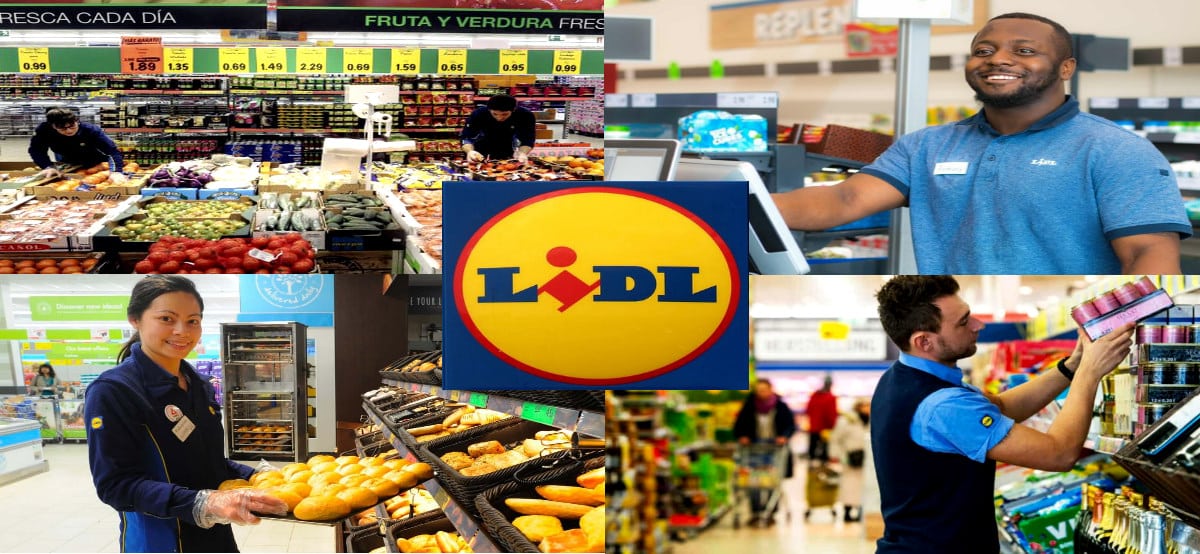 Lidl Amplía su Equipo: Vacantes Disponibles y Cómo Aplicar